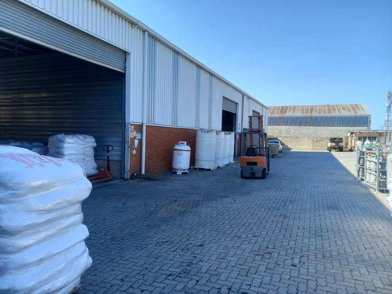 To Let commercial Property for Rent in Perseverance Industrial Eastern Cape